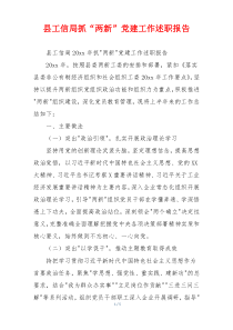 县工信局抓“两新”党建工作述职报告