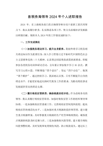 县税务局领导2024年个人述职报告