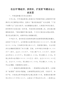 在全市稳经济抓项目扩投资专题会议上的发言