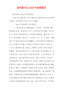 团市委书记2025年述职报告