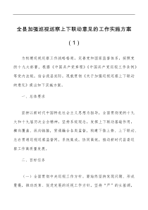 3篇开展巡察巡视工作实施方案范文3篇含上下联动党风廉政建设责任制民营医院巡查