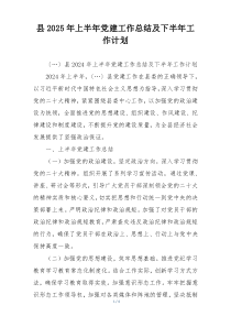 县2025年上半年党建工作总结及下半年工作计划