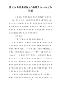 县2025年数字经济工作总结及2025年工作计划