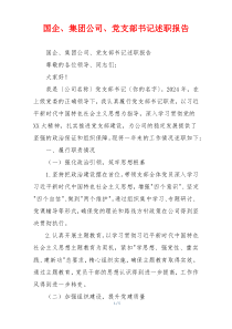 国企、集团公司、党支部书记述职报告