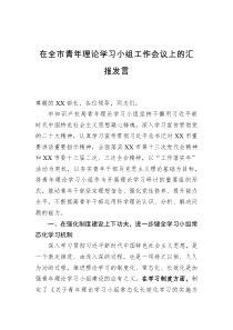 在全市青年理论学习小组工作会议上的汇报发言
