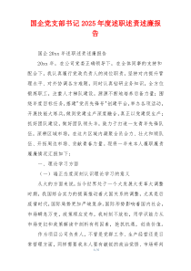 国企党支部书记2025年度述职述责述廉报告
