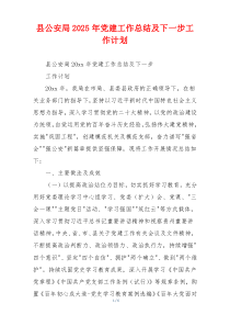 县公安局2025年党建工作总结及下一步工作计划