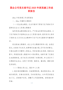 国企公司党支部书记2025年抓党建工作述职报告