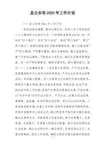 县公安局2025年工作计划