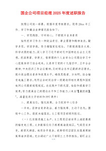国企公司项目经理2025年度述职报告
