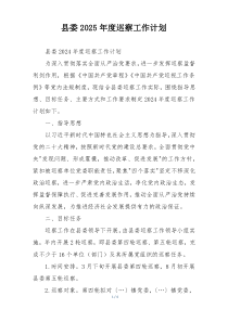 县委2025年度巡察工作计划