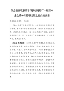 在全省民政系统学习贯彻党的二十届三中全会精神专题研讨班上的交流发言