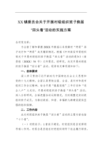 xx镇委员会关于开展村级组织班子换届回头看活动的实施方案