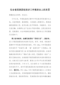 在全省民族团结进步工作推进会上的发言