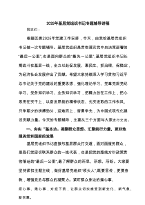 2025年基层党组织书记专题辅导讲稿（精选7篇）