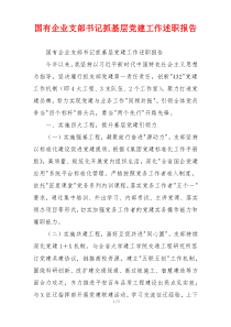 国有企业支部书记抓基层党建工作述职报告