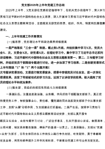 党支部2025年上半年党建工作总结（范文汇编6篇）