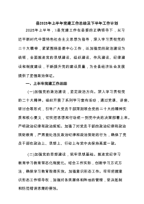 县2025年上半年党建工作总结及下半年工作计划范文（6篇）