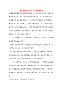 审计处审计年度工作计划范文