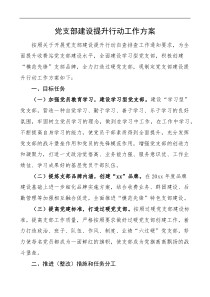 党支部建设提升行动工作方案