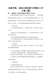 违规吃喝、违规公款旅游专项整治工作方案(3篇)