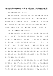 在县委第一巡察组回头看动员会上的的表态发言