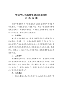 党组书记抓基层党建突破项目的实施方案