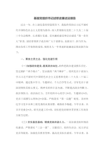 基层党组织书记述职述廉述法报告