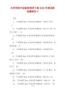 大学学校中层副职领导干部2025年度述职述廉报告2