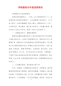 学校副校长年度述职报告
