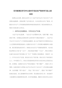 在市委理论学习中心组关于安全生产集体学习会上的发言