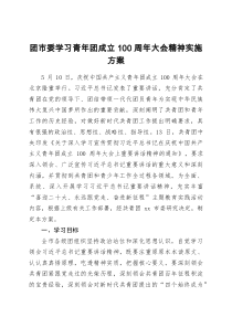团市委学习青年团成立100周年大会精神实施方案