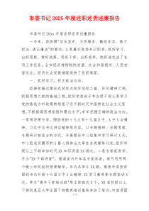 市委书记2025年度述职述责述廉报告