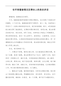 在环保督查情况反馈会上的表态讲话