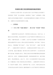 市政府办第三党支部抓基层党建述职报告