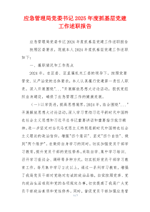 应急管理局党委书记2025年度抓基层党建工作述职报告