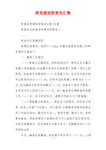 抓党建述职报告汇集