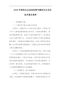 2025年国有企业巡视巡察专题民主生活会批评意见清单