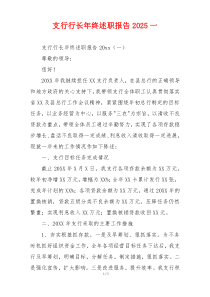 支行行长年终述职报告2025一