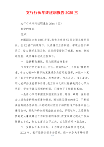 支行行长年终述职报告2025三
