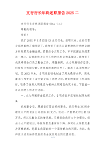 支行行长年终述职报告2025二