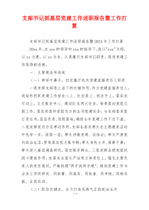 支部书记抓基层党建工作述职报告暨工作打算