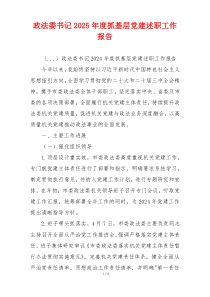 政法委书记2025年度抓基层党建述职工作报告