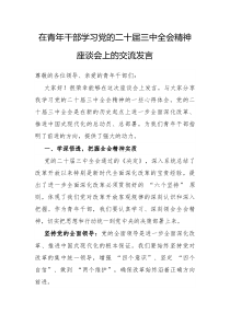 在青年干部学习党的二十届三中全会精神座谈会上的交流发言