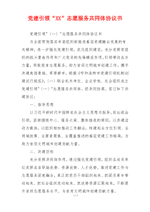 党建引领“XX”志愿服务共同体协议书