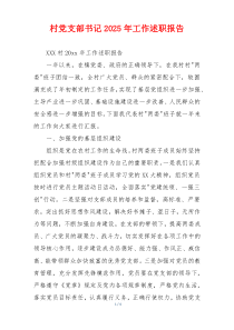 村党支部书记2025年工作述职报告
