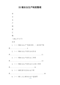XX镇安全生产制度整理