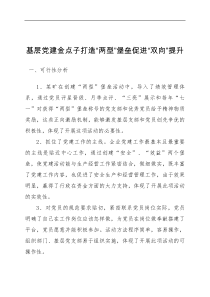 基层党建金点子打造两型堡垒促进双向提升