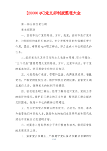 [28000字]党支部制度整理大全