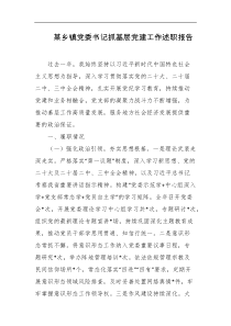某乡镇党委书记抓基层党建工作述职报告